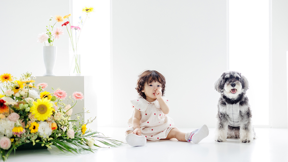 京都市 写真館 スタジオクレアーレ 撮影会 花 セット 家族写真 ペット 子供写真 記念写真 カップルフォト