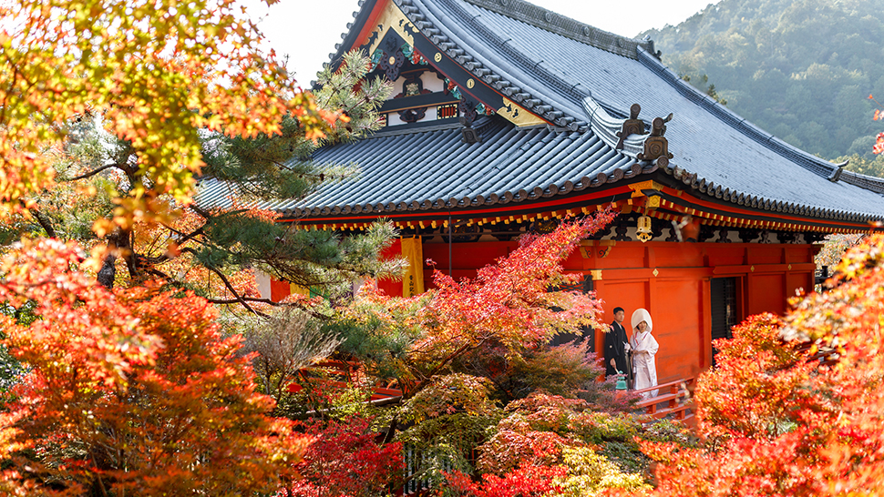 毘沙門堂 紅葉 フォトウェディング 色打掛 秋 京都