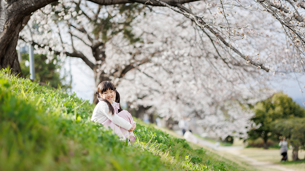 京都 桜 ロケーション撮影 卒業袴 入学式 記念写真 スタジオクレアーレ